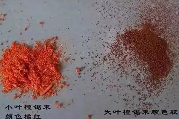 小叶紫檀VS大叶紫檀
