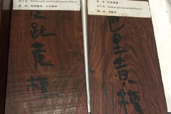 红酸枝（巴里黄檀）和大红酸枝